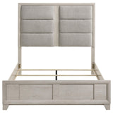 Farre Washed Gray Queen Upholstered Platform Panel Bed from Coaster - Luna Furniture