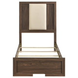 Etienne Walnut/Vanilla Velvet Upholstered Twin Panel Bed from Coaster - Luna Furniture