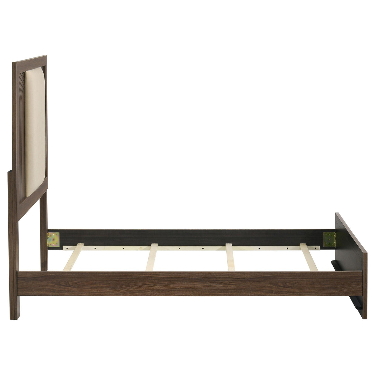 Etienne Walnut/Vanilla Velvet Upholstered Twin Panel Bed from Coaster - Luna Furniture