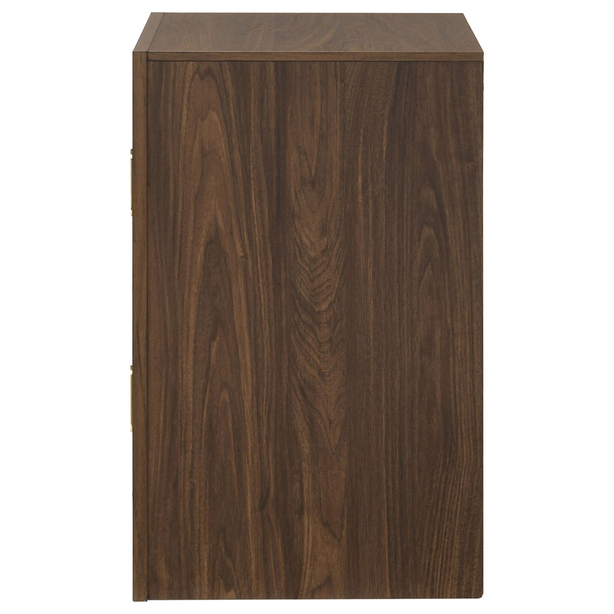 Etienne Walnut 2-drawer Nightstand Bedside Table from Coaster - Luna Furniture
