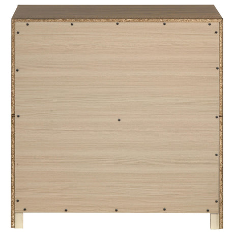 Etienne Walnut 2-Drawer Nightstand from Coaster - Luna Furniture