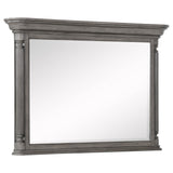 Cresswell Weathered Taupe Rectangular Dresser Mirror from Coaster - Luna Furniture