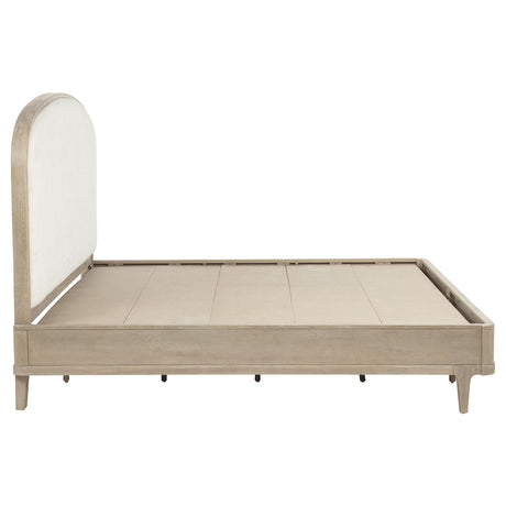 Lucaire Sandstone/Cream Upholstered Queen Panel Bed from Coaster - Luna Furniture