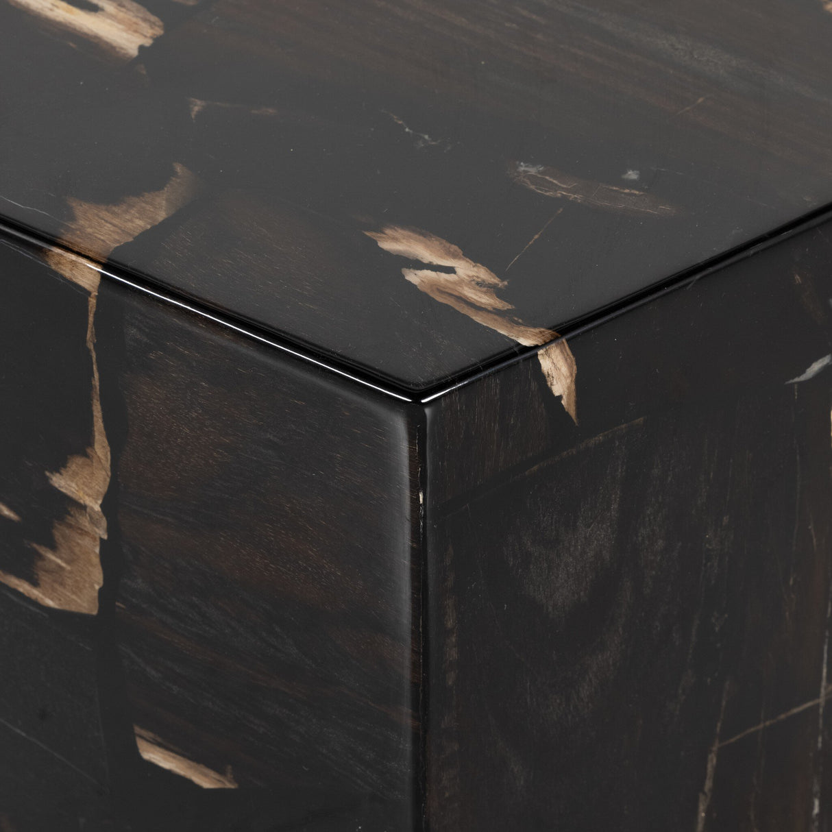 Shep End Table in Dark Petrified Wood from Four Hands - Luna Furniture