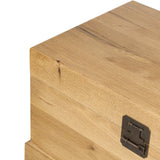 Alister Trunk in Light Toasted Oak from Four Hands - Luna Furniture