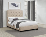 Chloe Oatmeal Tufted Upholstered Full Bed from Coaster - Luna Furniture