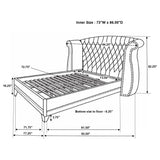 Barzini Black California King Tufted Upholstered Bed from Coaster - Luna Furniture