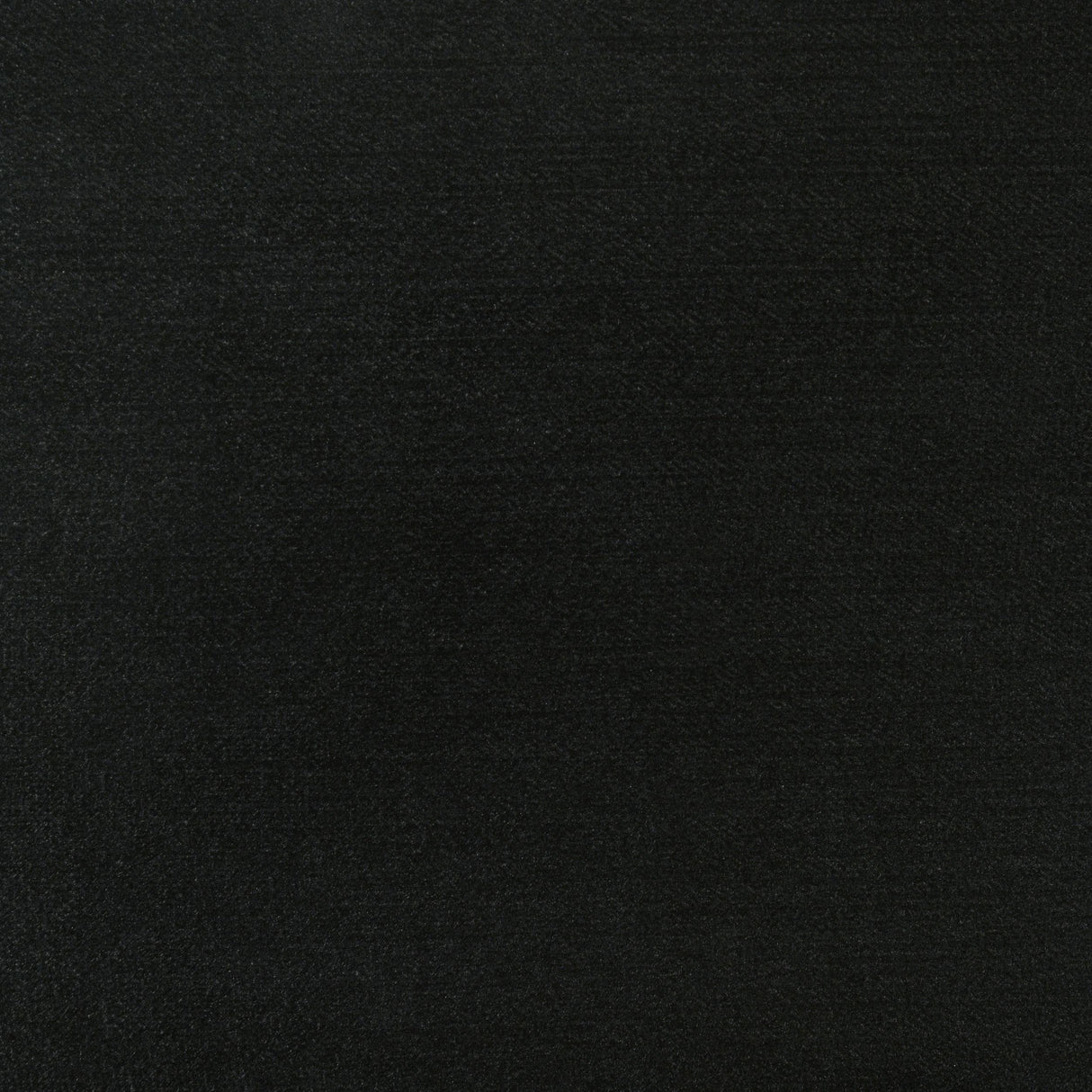 Barzini Black Queen Tufted Upholstered Bed from Coaster - Luna Furniture