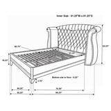 Barzini Black Queen Tufted Upholstered Bed from Coaster - Luna Furniture