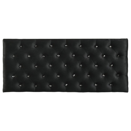 Barzini Black Tufted Rectangular Trunk with Nailhead from Coaster - Luna Furniture
