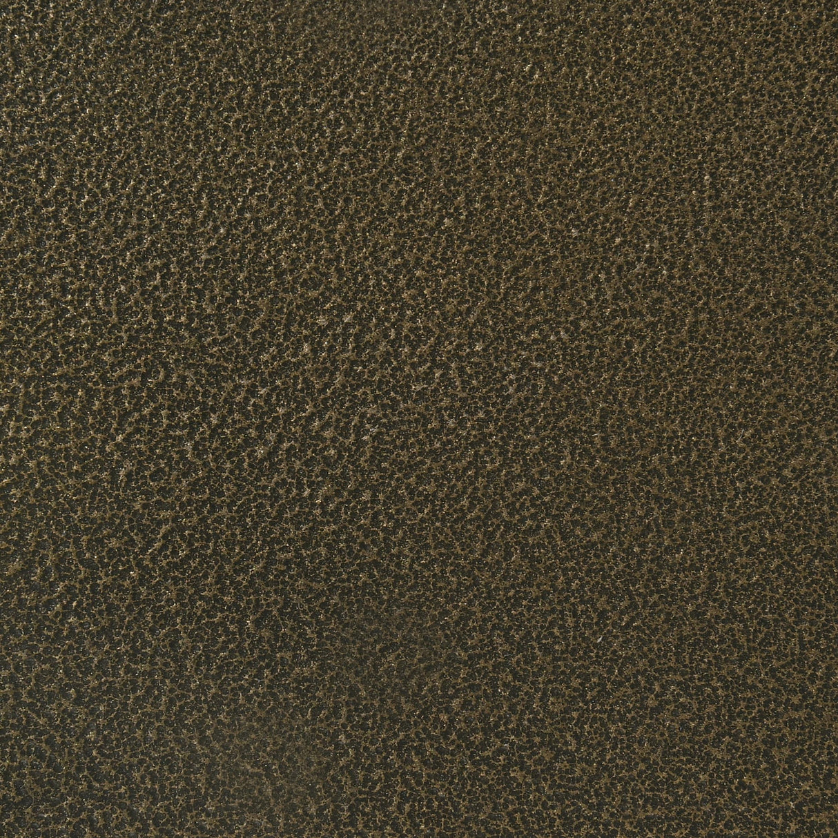 Monroe Vanilla and Black Upholstered Queen Canopy Platform Bed from Coaster - Luna Furniture