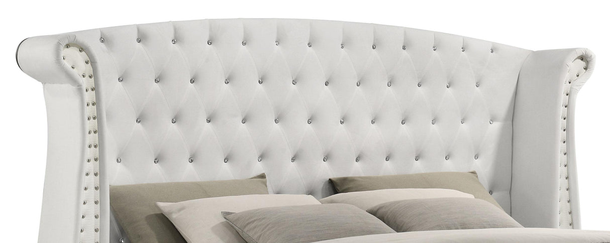 Barzini White Tufted Upholstered Wingback Eastern King Bed from Coaster - Luna Furniture