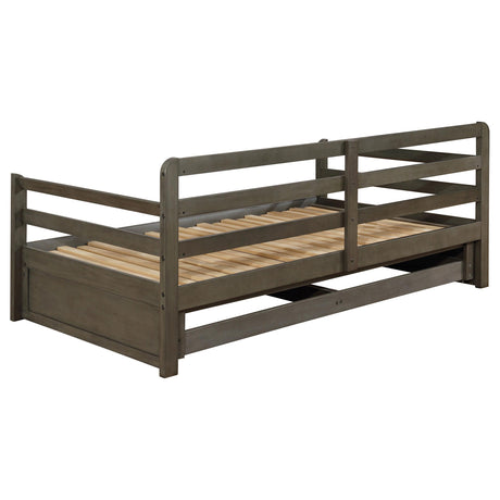 Sorrento Gray 2-Drawer Twin Daybed with Extension Trundle from Coaster - Luna Furniture