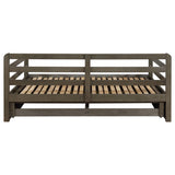 Sorrento Gray 2-Drawer Twin Daybed with Extension Trundle from Coaster - Luna Furniture