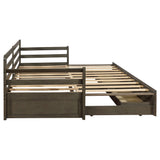 Sorrento Gray 2-Drawer Twin Daybed with Extension Trundle from Coaster - Luna Furniture