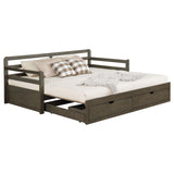 Sorrento Gray 2-Drawer Twin Daybed with Extension Trundle from Coaster - Luna Furniture