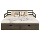 Sorrento Gray 2-Drawer Twin Daybed with Extension Trundle from Coaster - Luna Furniture
