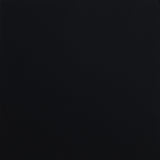 Waldin Black Twin Platform Support from Coaster - Luna Furniture