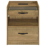 Furda Mango 2-Drawer LED Nightstand with Speaker from Coaster - Luna Furniture