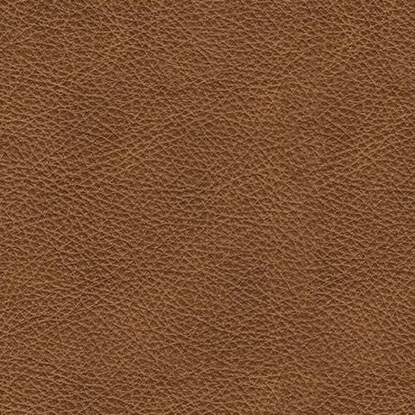 Emilia Caramel Leather 2-Piece Loveseat from Ashley Furniture - Luna Furniture