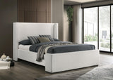 TBD from Coaster - Luna Furniture
