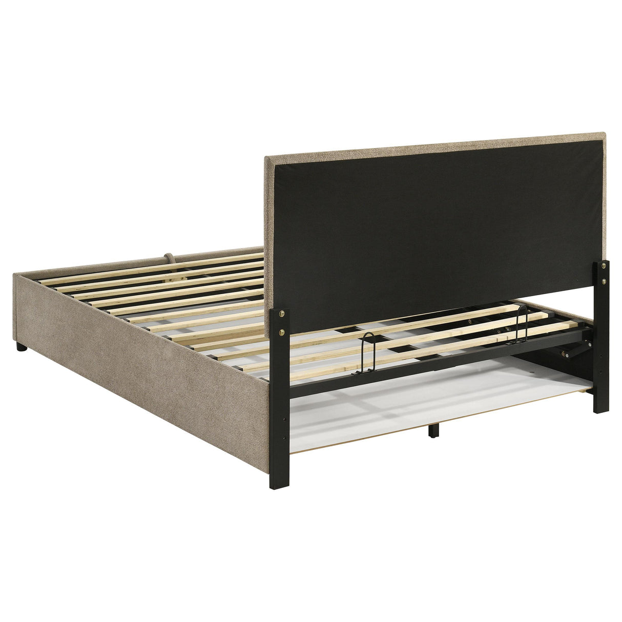 Reeves Tan Upholstered Queen Lift-Top Storage Platform Bed from Coaster - Luna Furniture