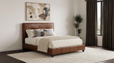 Farrell Brown Leatherette Upholstered Queen Panel Bed from Coaster - Luna Furniture
