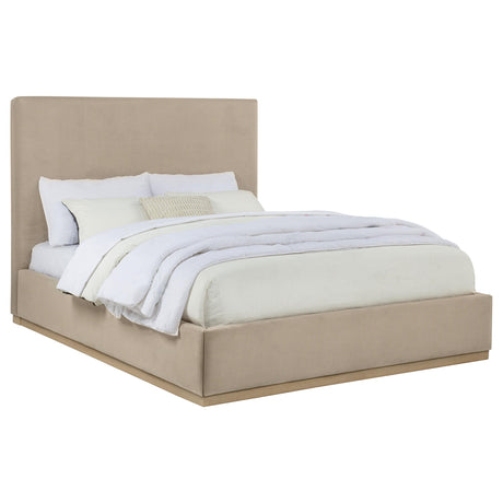 Knox Khaki Fabric Upholstered Queen Platform Bed from Coaster - Luna Furniture
