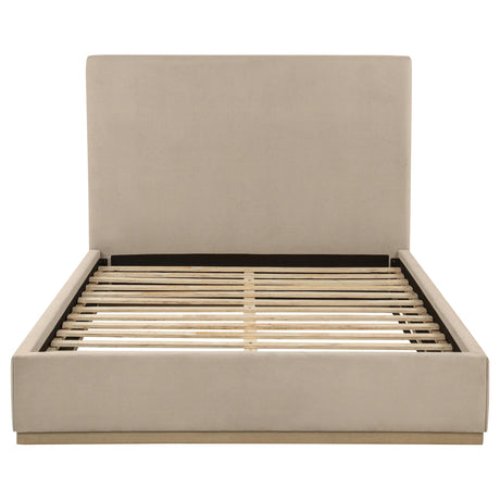 Knox Khaki Fabric Upholstered Queen Platform Bed from Coaster - Luna Furniture