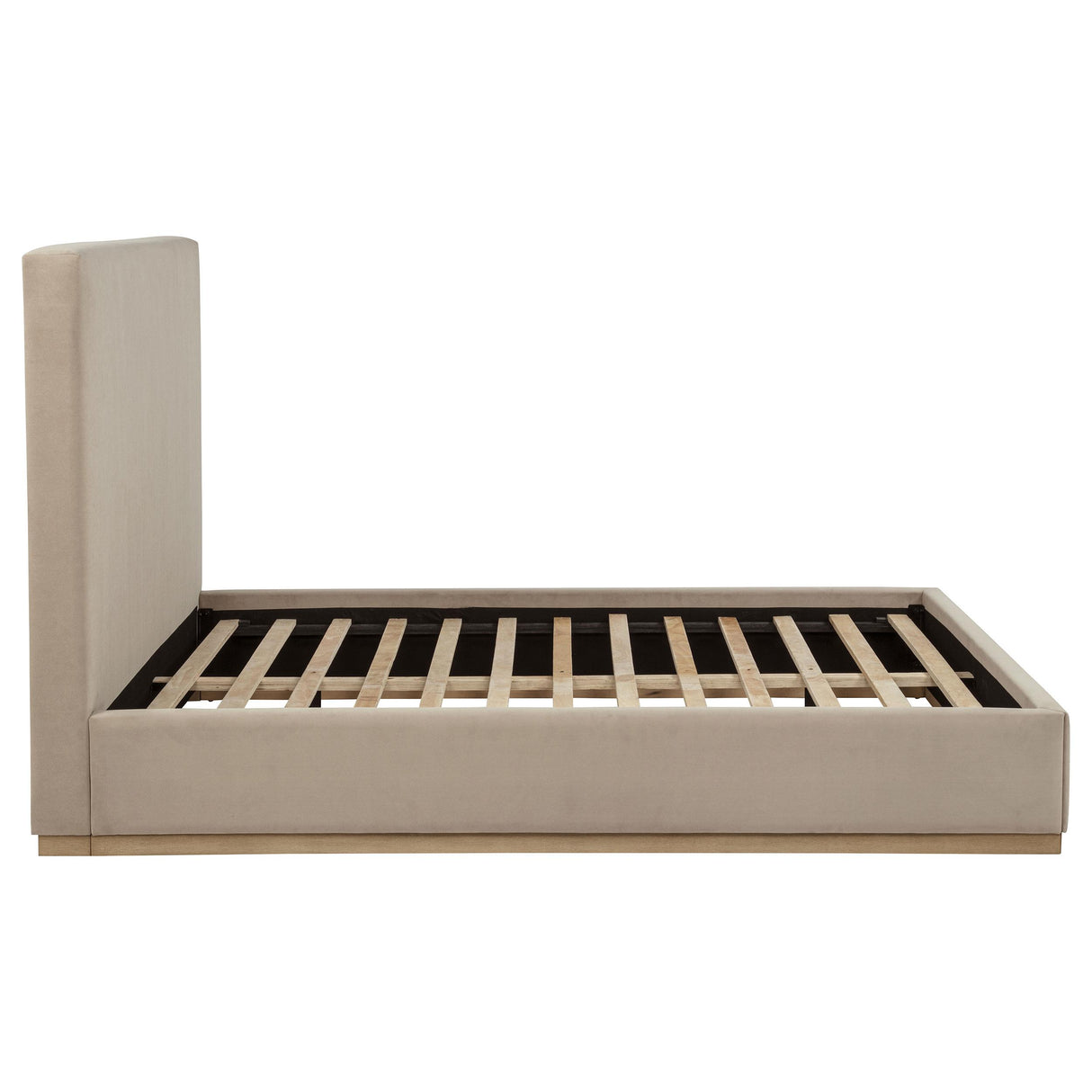 Knox Khaki Queen Fabric Upholstered Platform Bed from Coaster - Luna Furniture