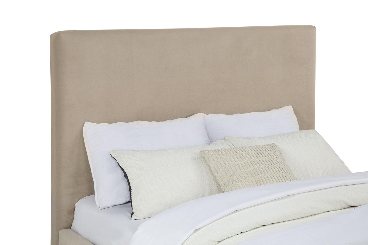 Knox Khaki Queen Fabric Upholstered Platform Bed from Coaster - Luna Furniture