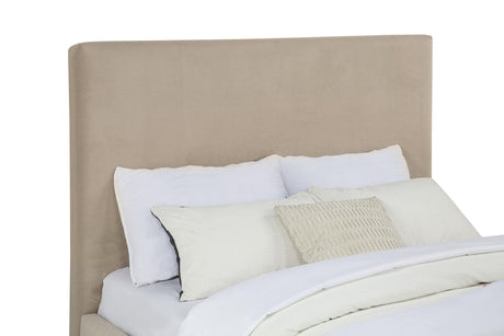 Knox Khaki Fabric Upholstered Queen Platform Bed from Coaster - Luna Furniture