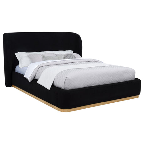 Blaire Black Upholstered Eastern King Wingback Platform Bed from Coaster - Luna Furniture