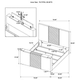 Tara Gray 61-inch Upholstered Eastern King Panel TV Bed from Coaster - Luna Furniture