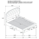 Marianna Cream 4-Drawer Upholstered Eastern King Storage Bed from Coaster - Luna Furniture