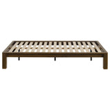 Gislen Walnut Easy Assembly Wood Twin Platform Bed from Coaster - Luna Furniture