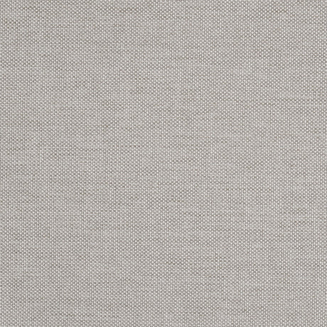 Boyd Ivory Upholstered Queen Bed with Nailhead Trim from Coaster - Luna Furniture