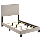 Boyd Ivory Upholstered Twin Bed with Nailhead Trim from Coaster - Luna Furniture