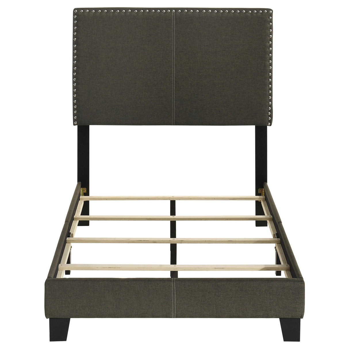 Boyd Charcoal Upholstered Twin Bed with Nailhead Trim from Coaster - Luna Furniture