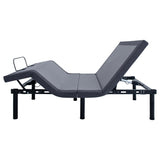 Clara Gray and Black Twin XL Adjustable Bed Base from Coaster - Luna Furniture