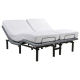 Tasca 2-Piece Split Eastern King Dual-Motor Adjustable Bed Base from Coaster - Luna Furniture