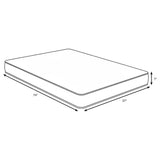 Quimby White 7-inch Twin Innerspring Quilted Foam Mattress from Coaster - Luna Furniture