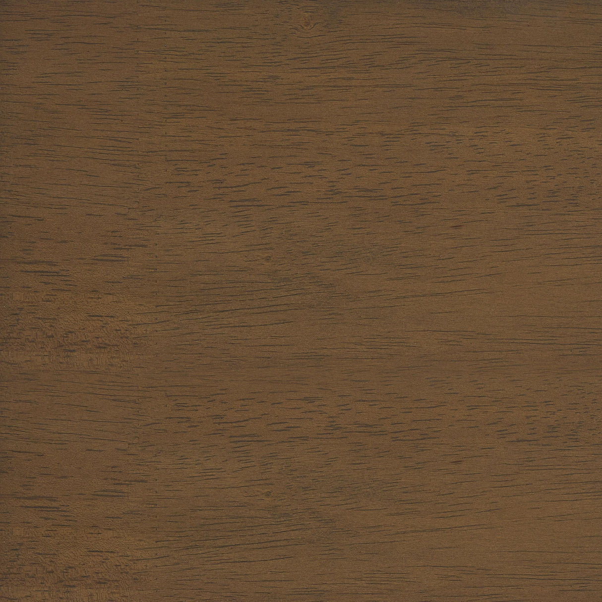 Morris Walnut / Black Twin Over Twin Wood Bunk Bed from Coaster - Luna Furniture