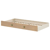 TBD from Coaster - Luna Furniture