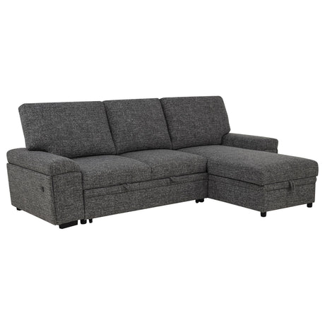Demko Granite Sleeper Sectional Sofa with Speaker and Storage Chaise from Coaster - Luna Furniture