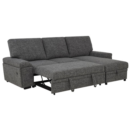 Demko Granite Sleeper Sectional Sofa with Speaker and Storage Chaise from Coaster - Luna Furniture