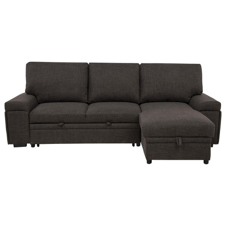 Demko Brown Sleeper Sectional Sofa with Speaker and Storage Chaise from Coaster - Luna Furniture
