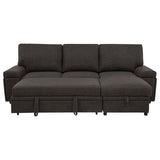 Demko Brown Sleeper Sectional Sofa with Speaker and Storage Chaise from Coaster - Luna Furniture
