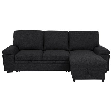 Demko Black Sleeper Sectional Sofa with Speaker and Storage Chaise from Coaster - Luna Furniture