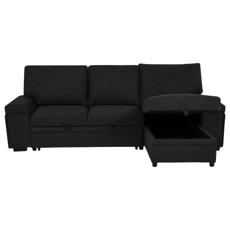 Demko Black Sleeper Sectional Sofa with Speaker and Storage Chaise from Coaster - Luna Furniture